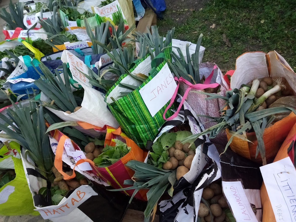 Des sacs bien remplis de bons légumes