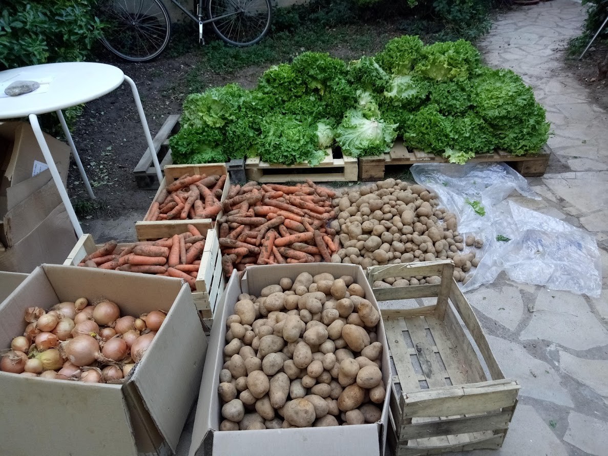 C'est dans les caisses, à mettre dans les paniers ..